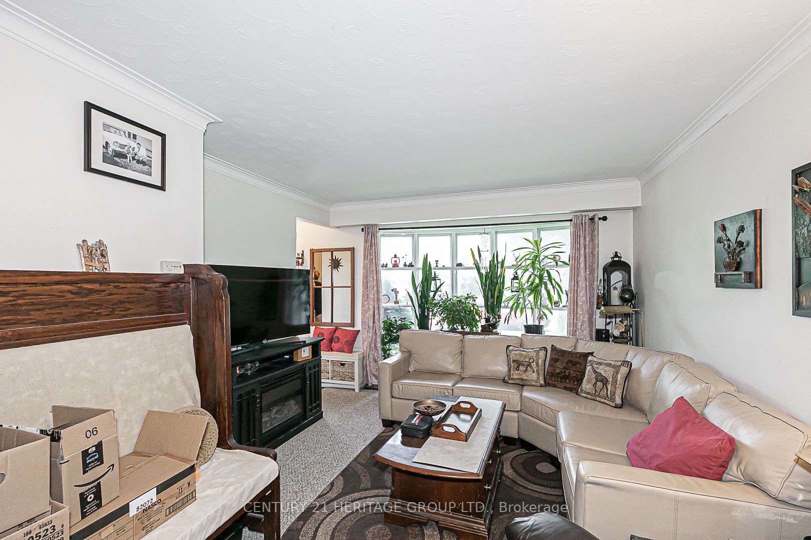 17 Jasper Dr