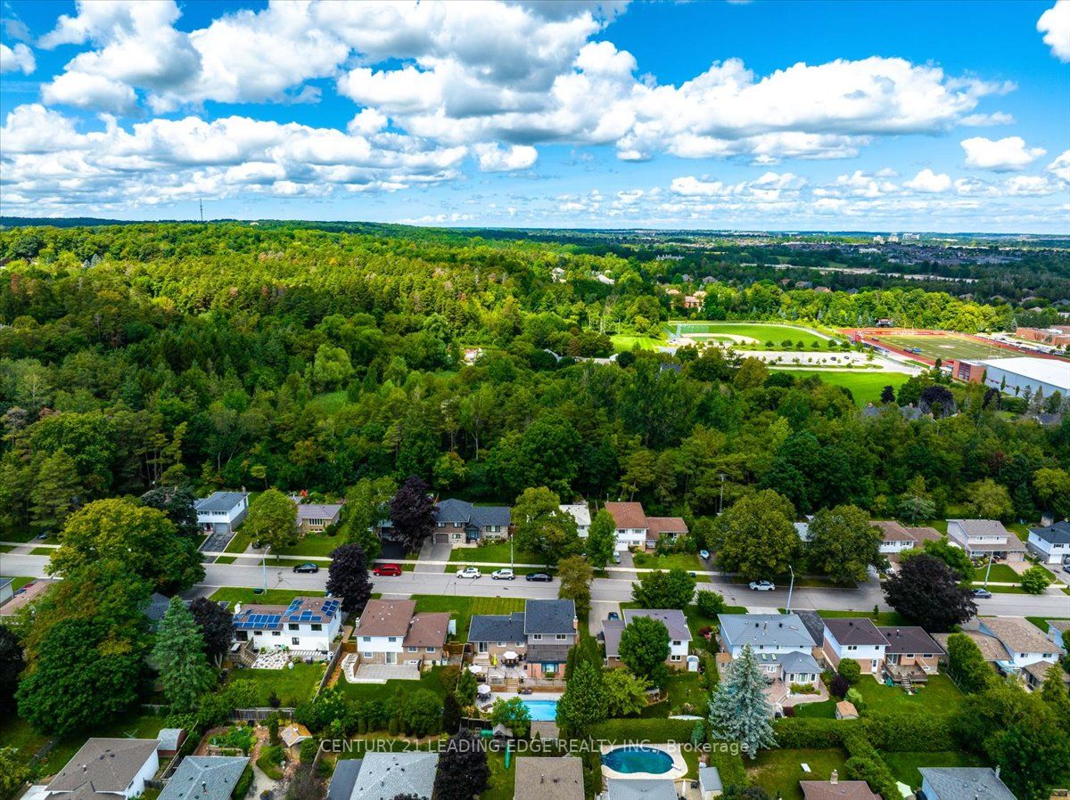 53 Hill Dr