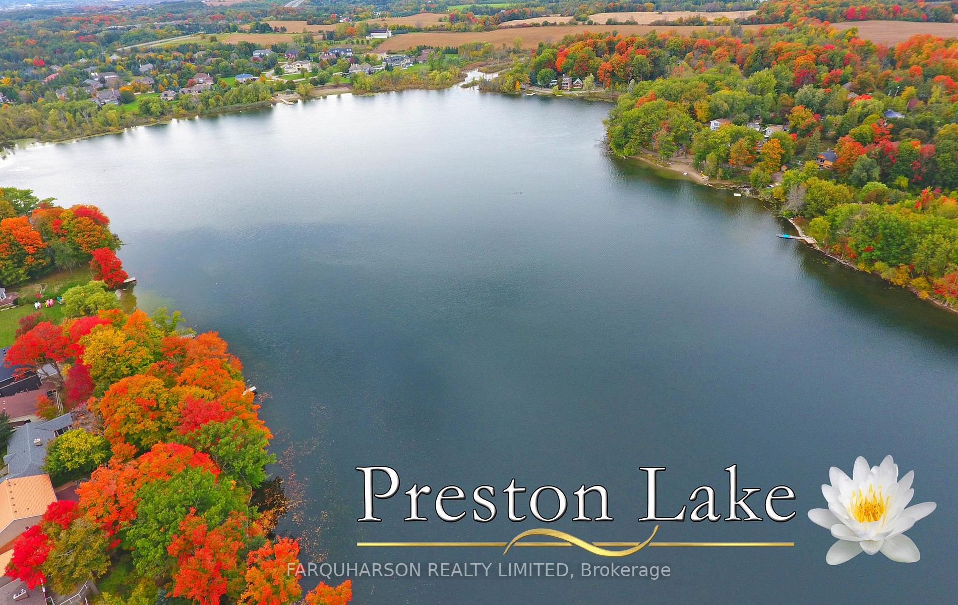 29 Reesor Pl