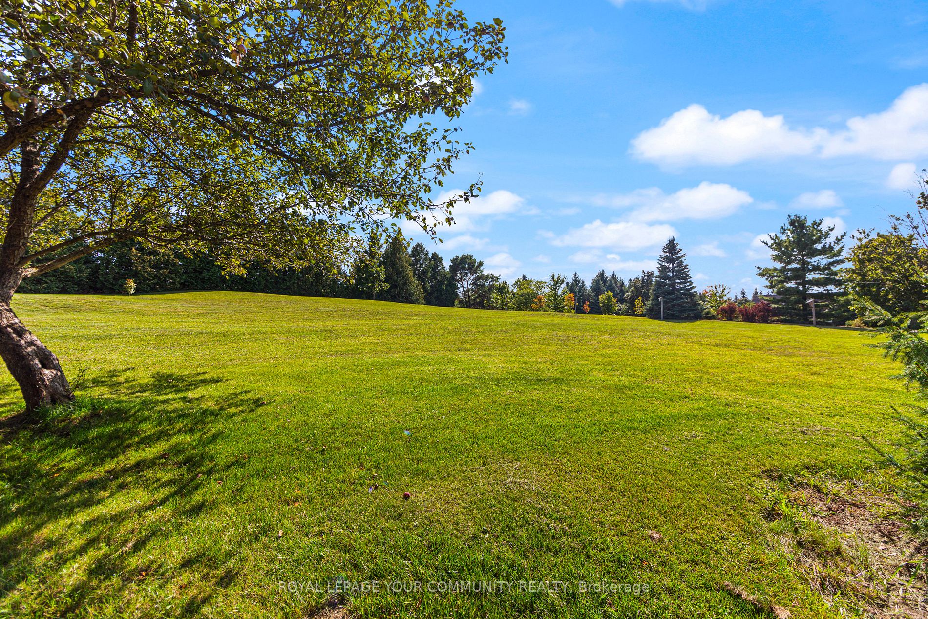 6 Silver Spring Cres