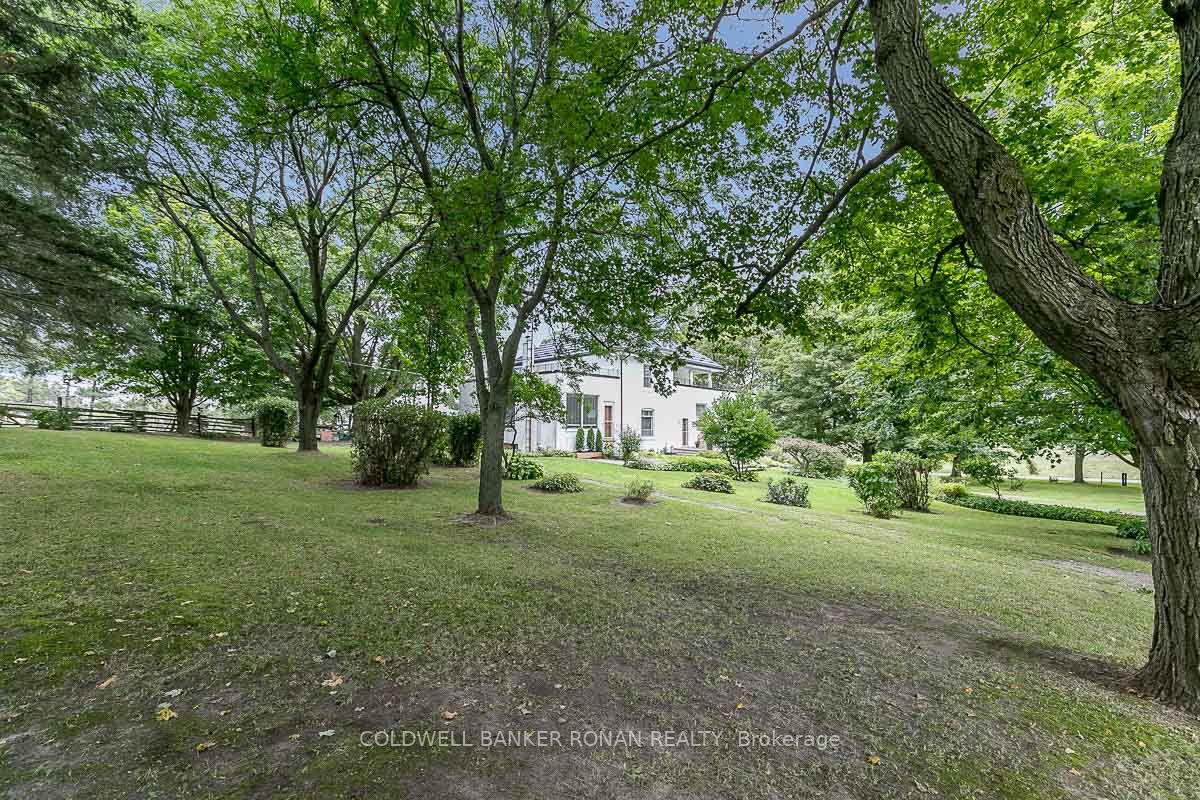 Listing N6783314 - Large Photo # 4