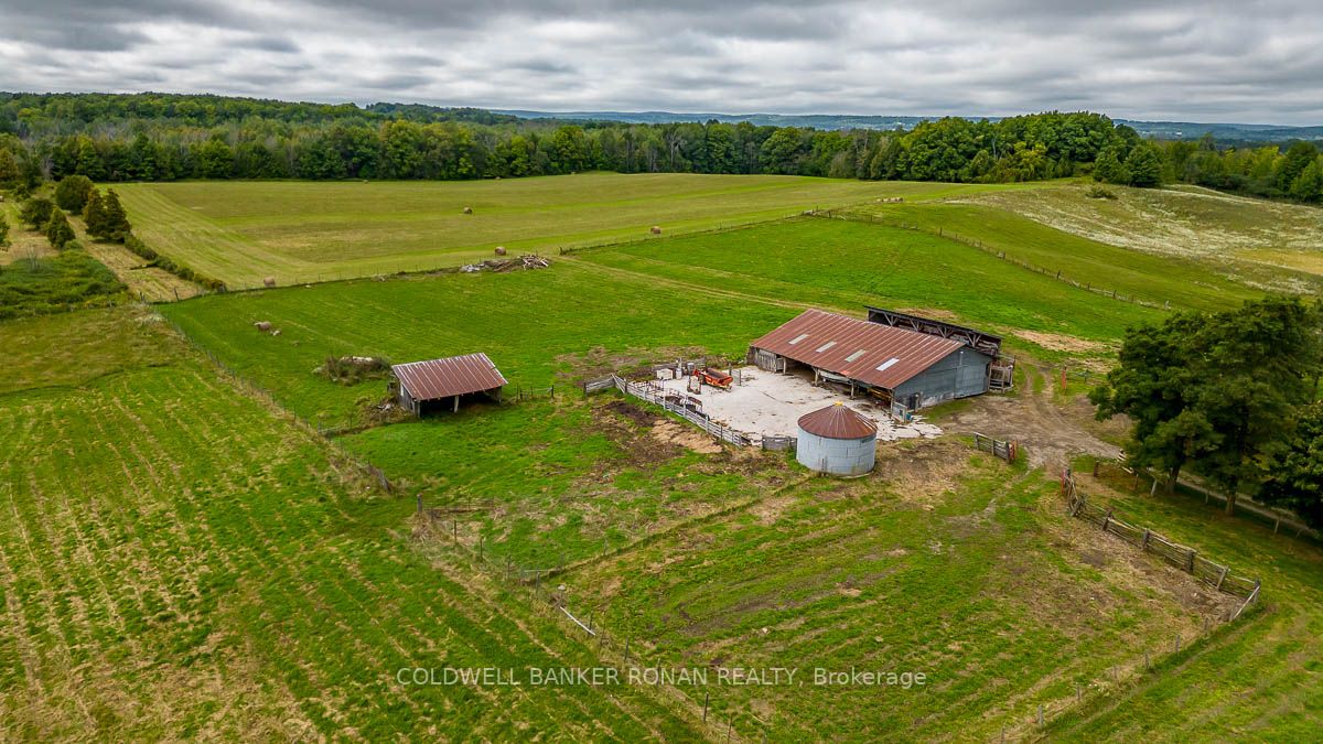Listing N6783314 - Large Photo # 39