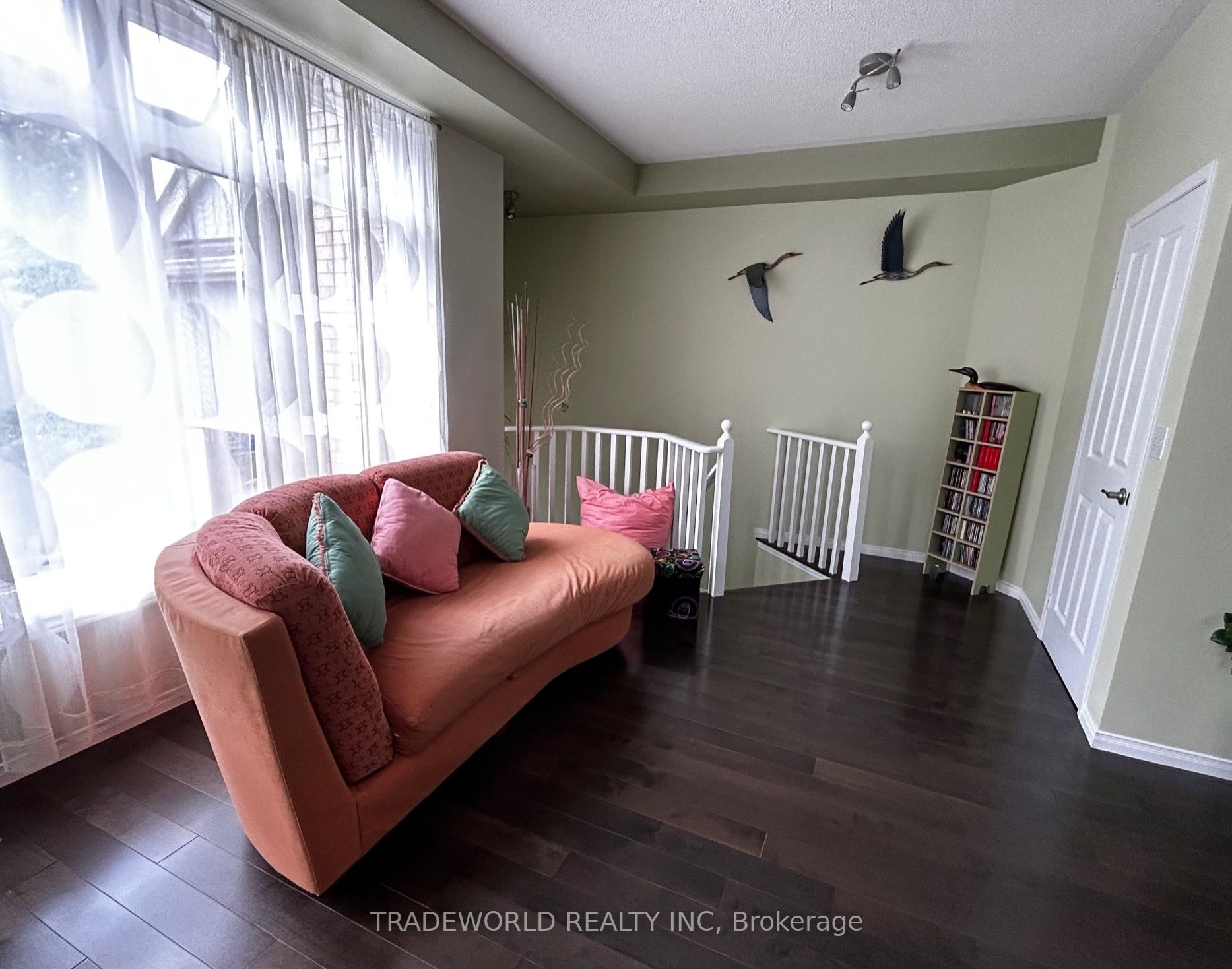 11 Mccaul St
