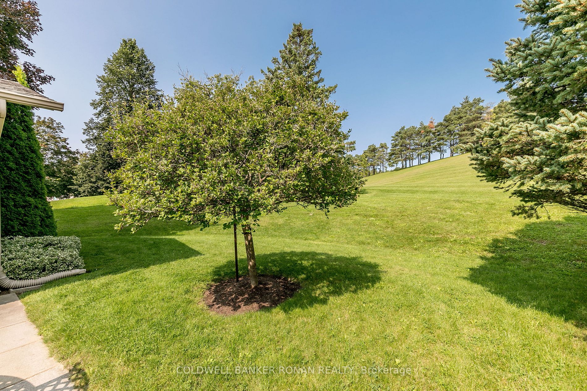 Listing N6791624 - Large Photo # 33