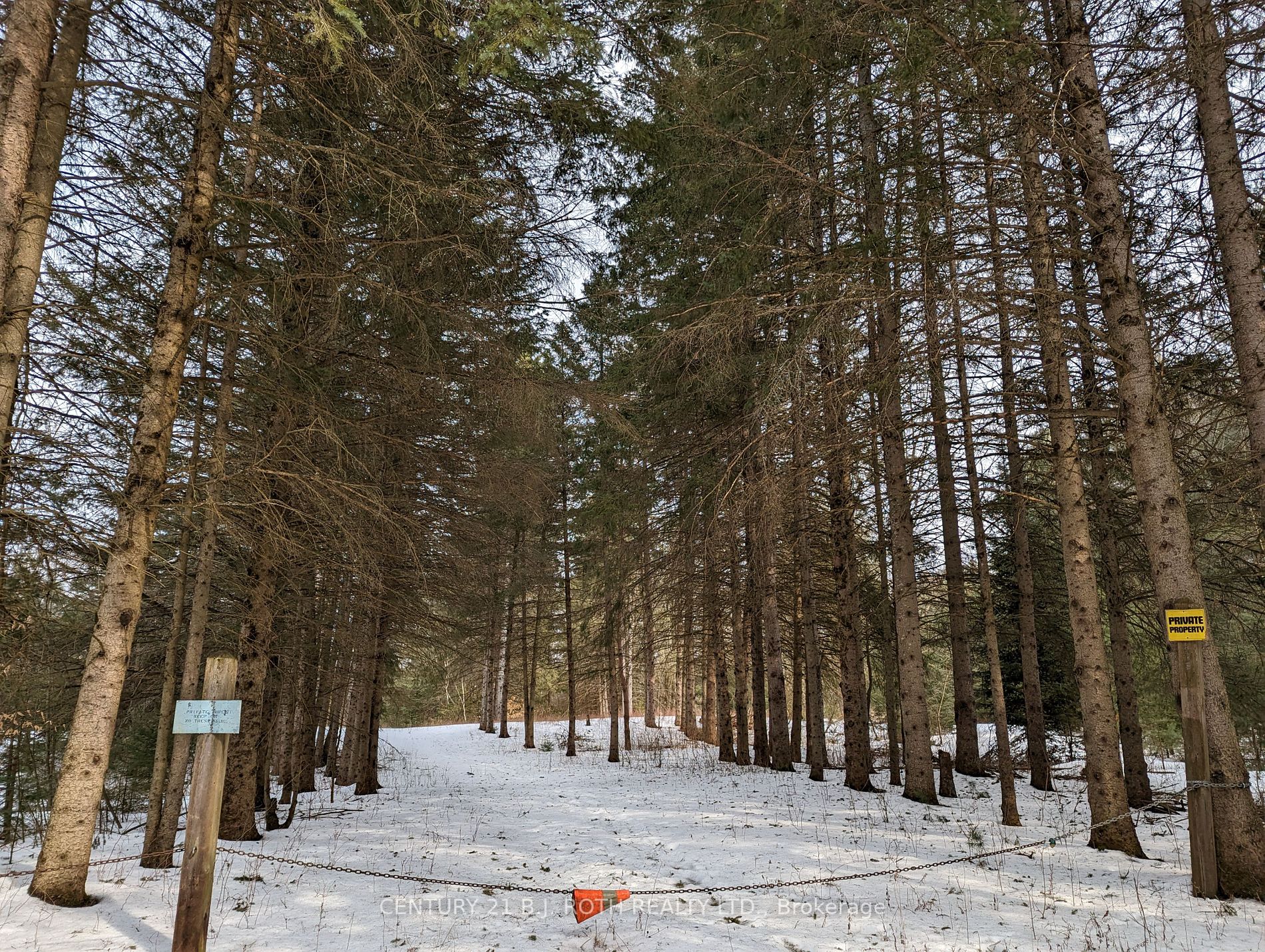 Lot 1 6th Line