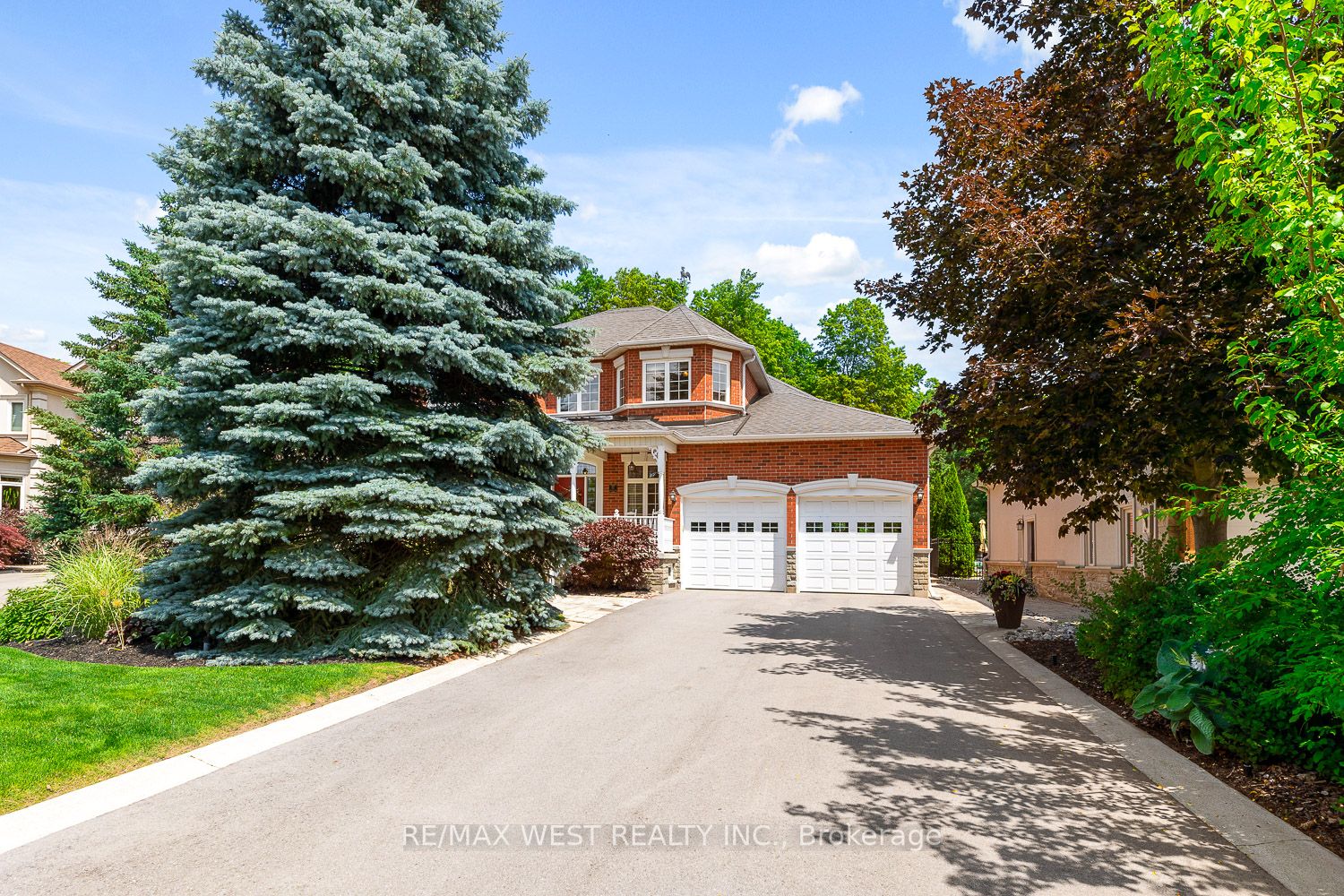 82 English Daisy Crt