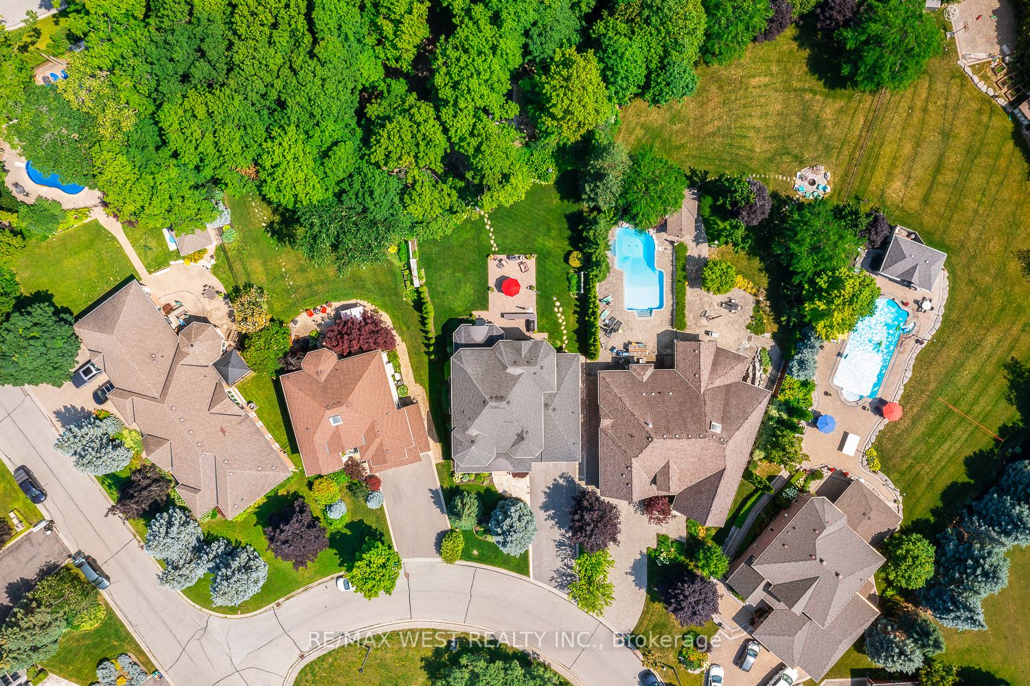 82 English Daisy Crt