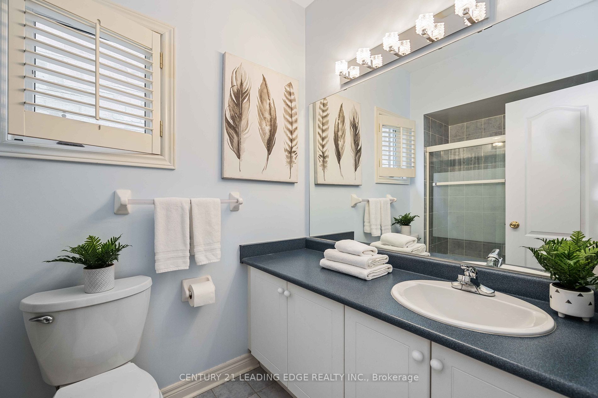315 Williamson Rd