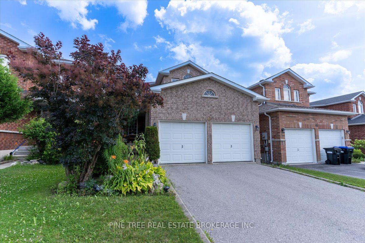 43 Buchanan Drive