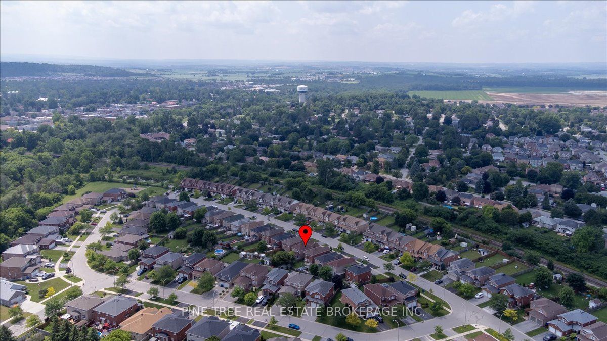 43 Buchanan Drive