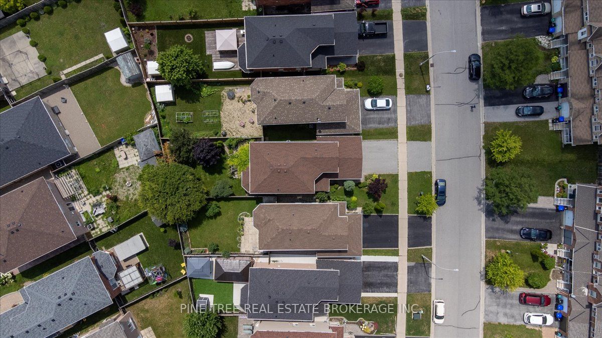 43 Buchanan Drive