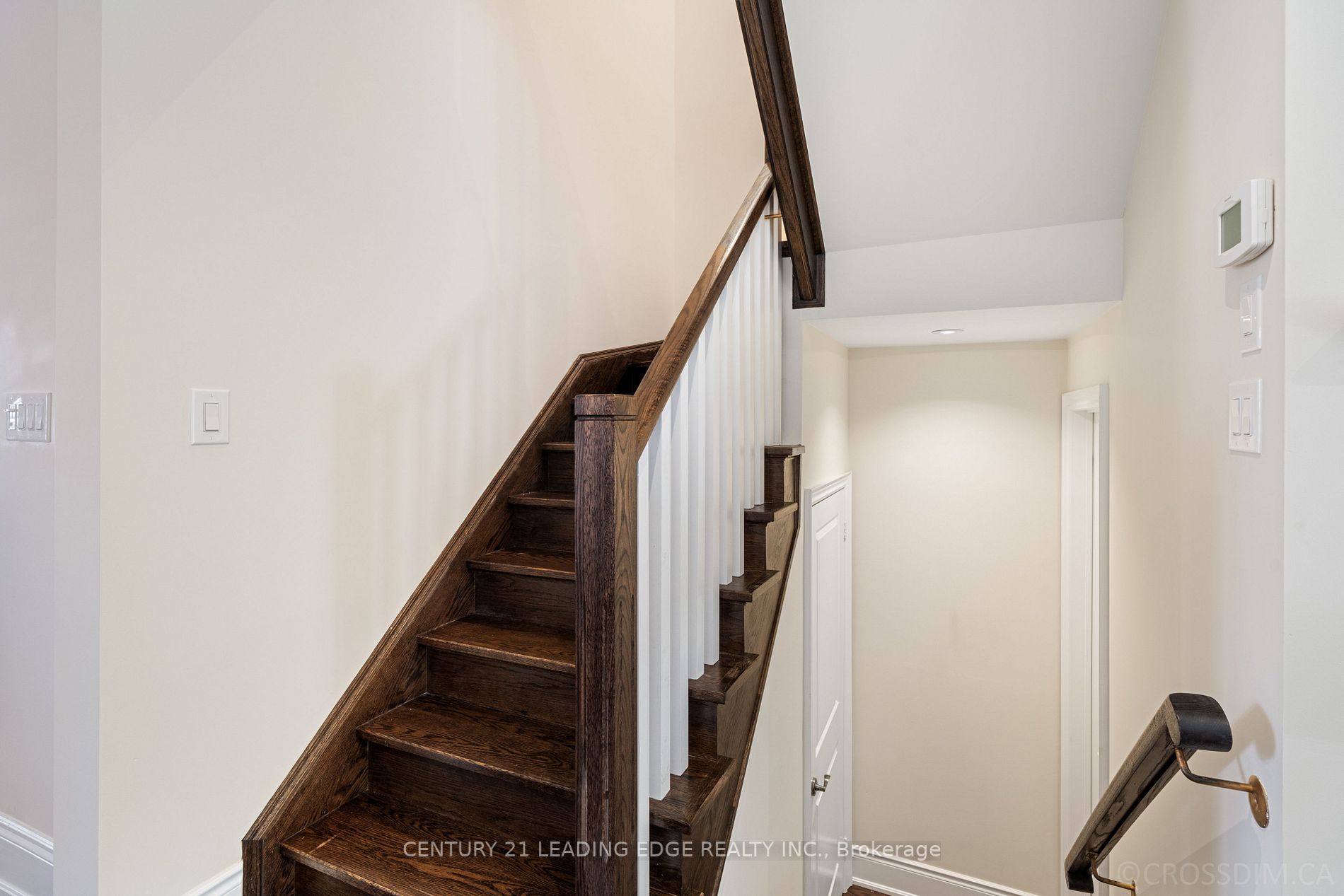 61 Dungannon Dr