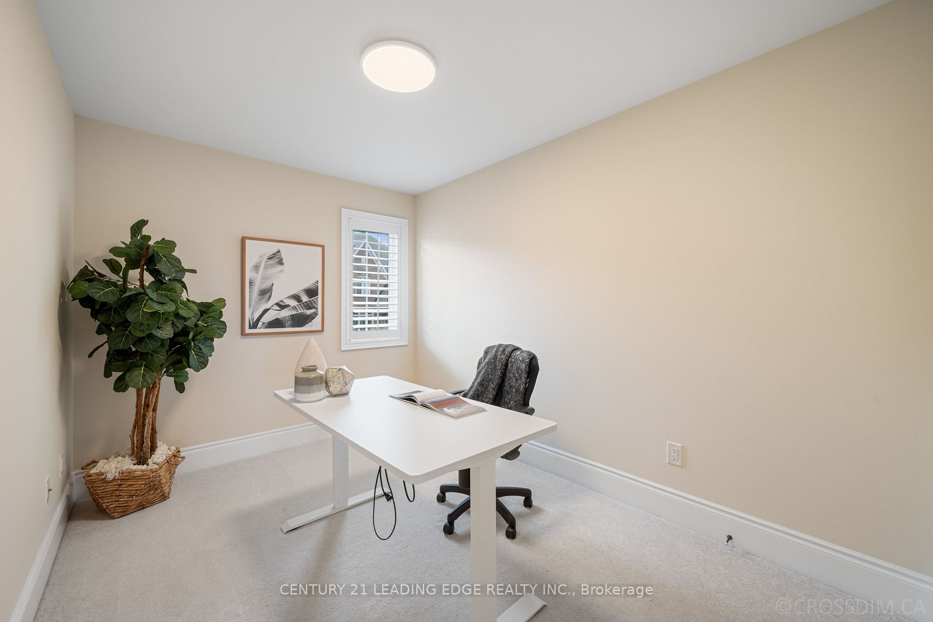 61 Dungannon Dr