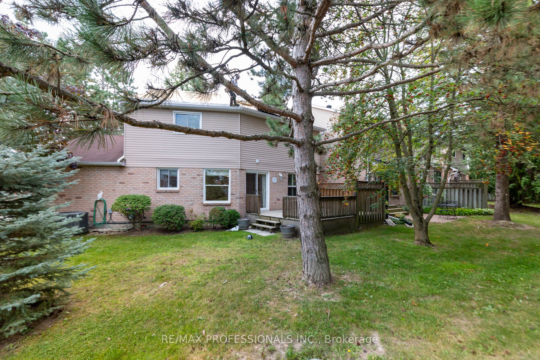 36 Adams Crt, #36