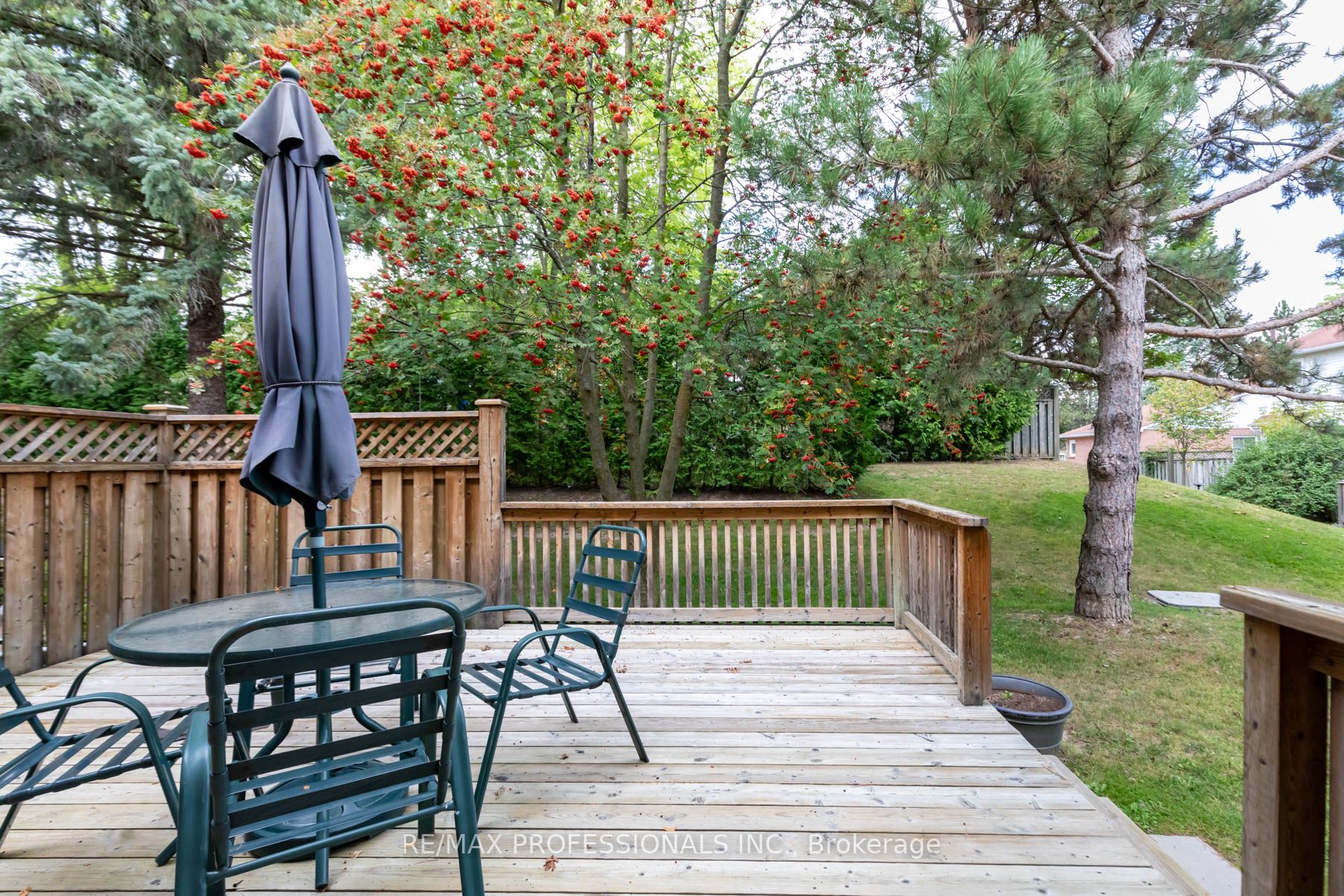 36 Adams Crt, #36