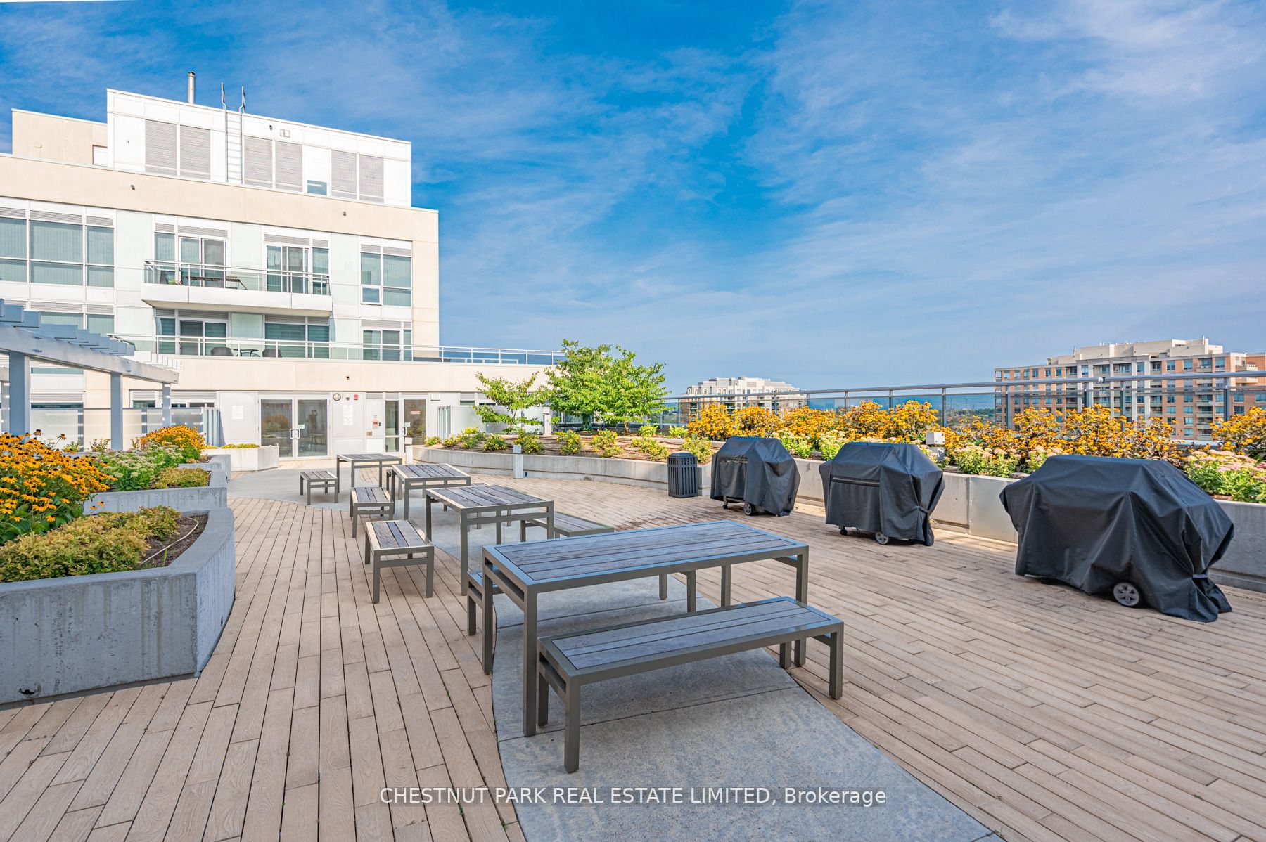 9191 Yonge St, #Sw701