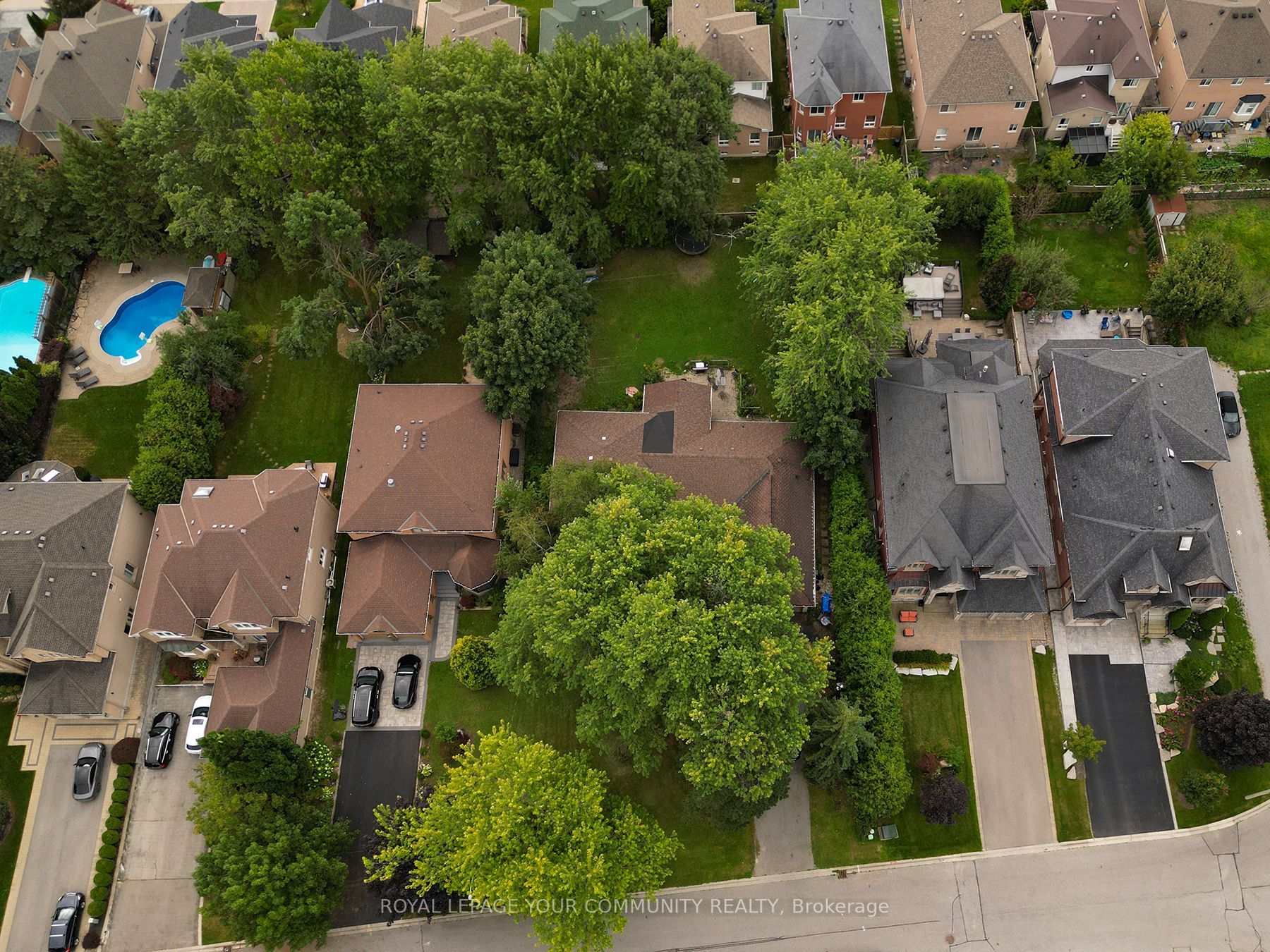 103 Naughton Dr