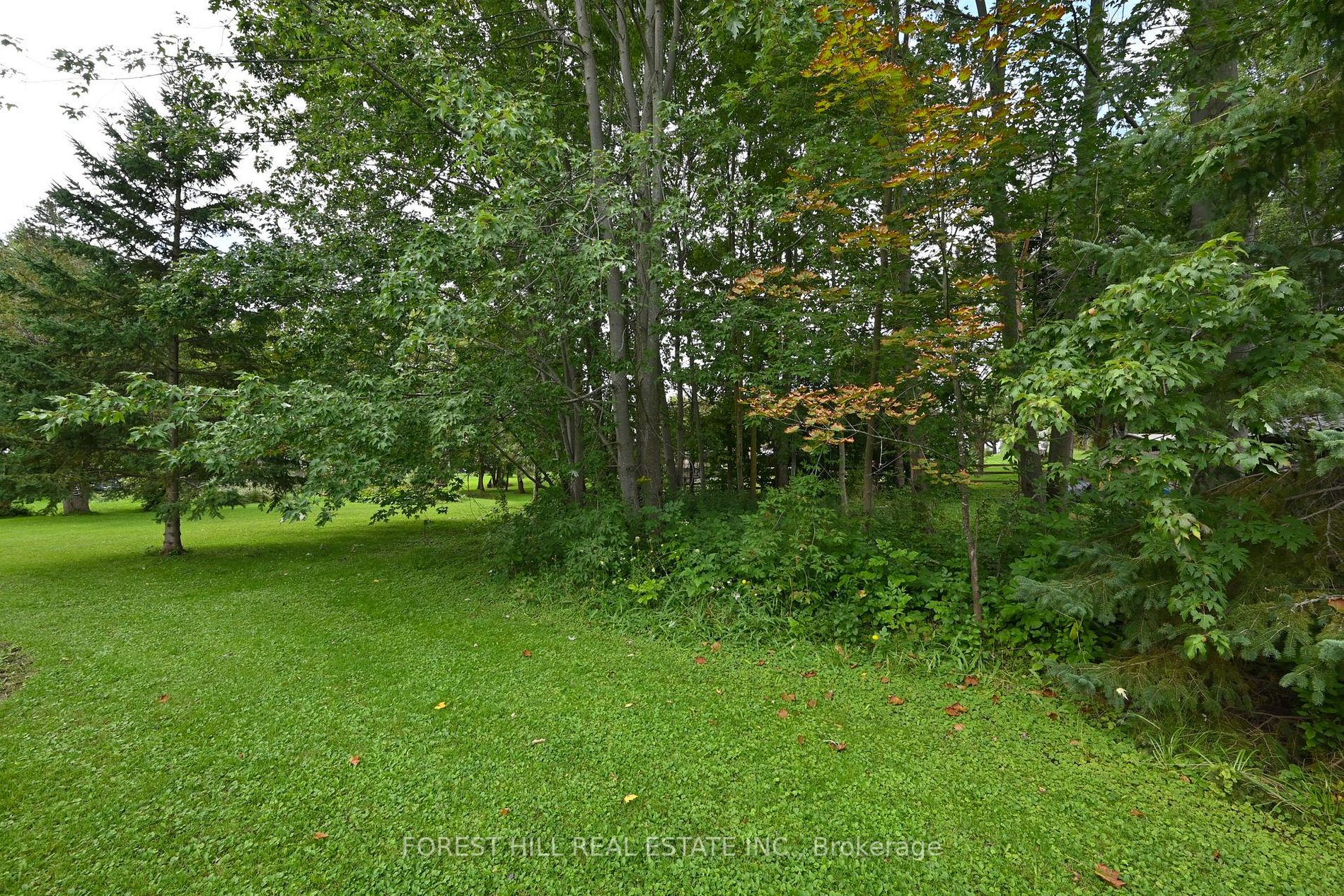 38 Ellison Ave