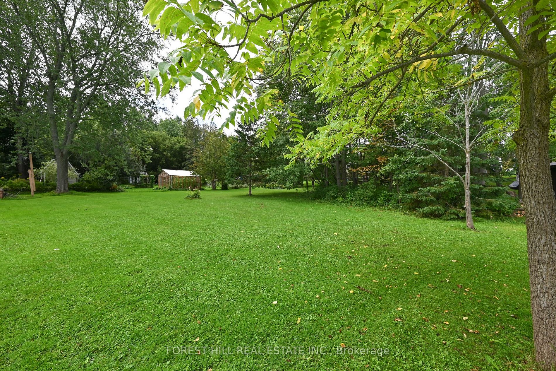 38 Ellison Ave