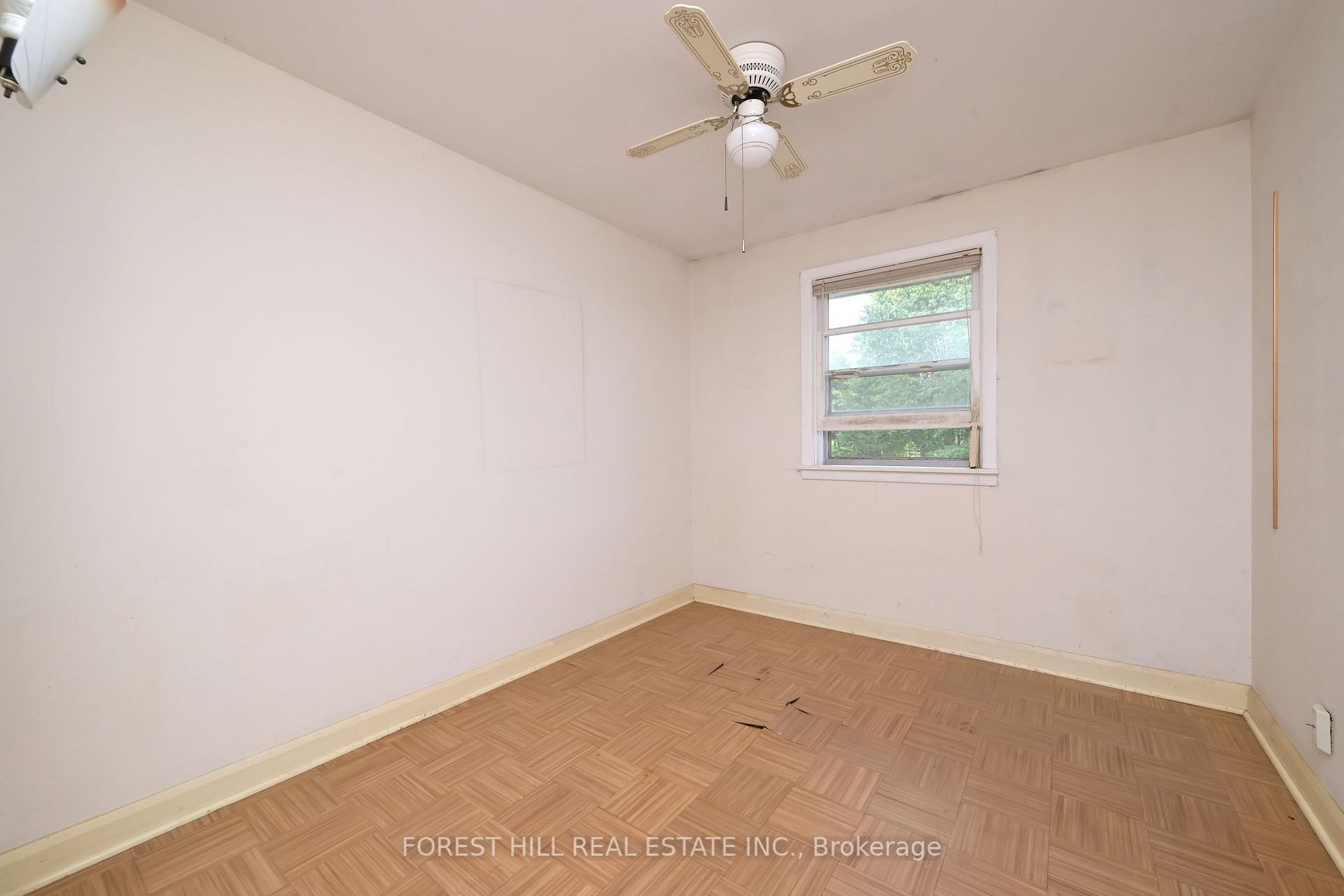 38 Ellison Ave