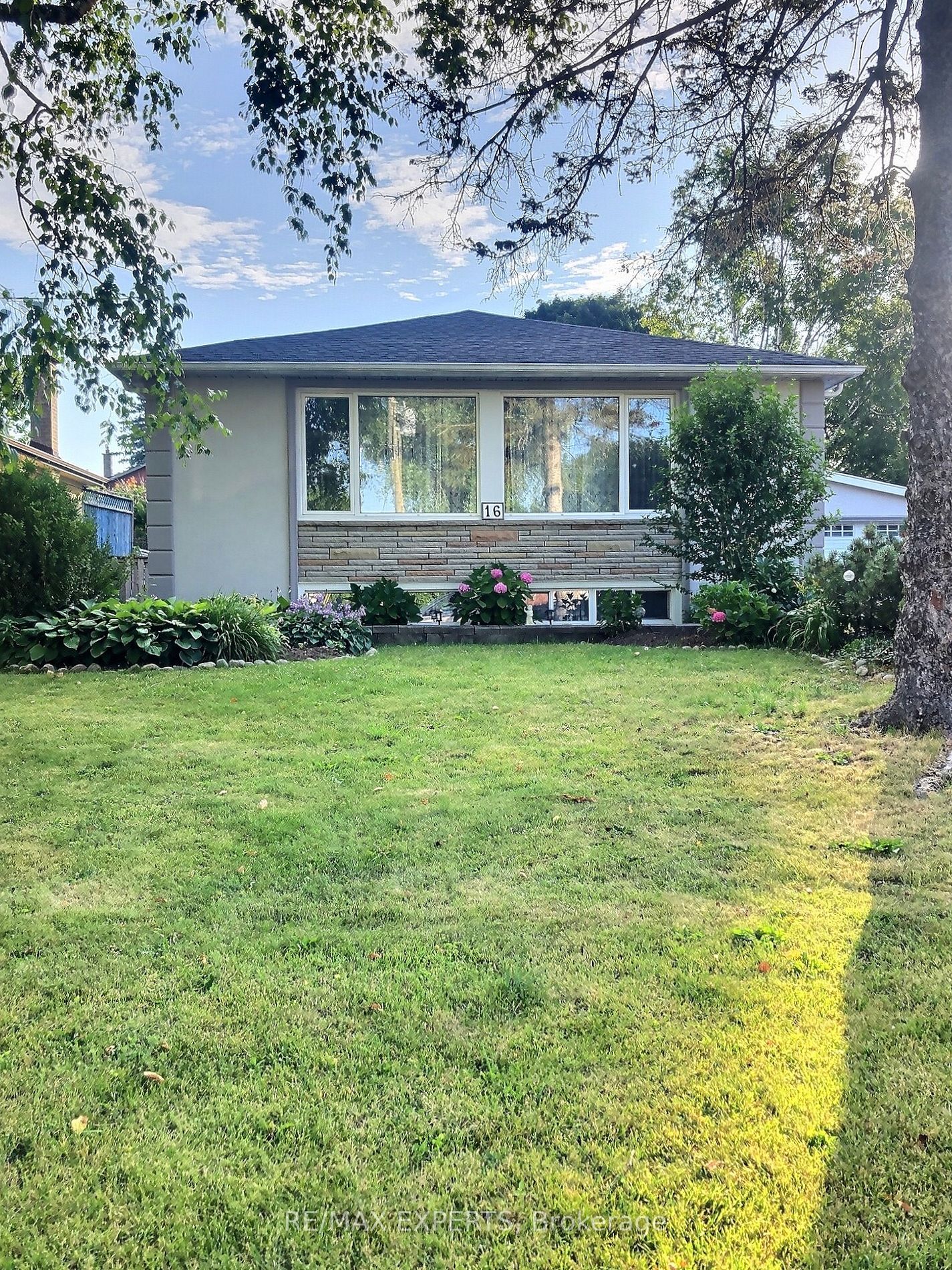 16 Patrick Dr