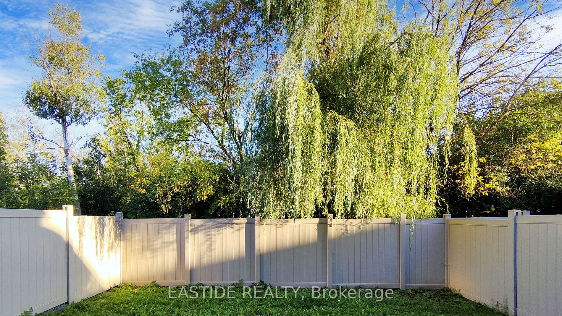 41 Portage Avenue