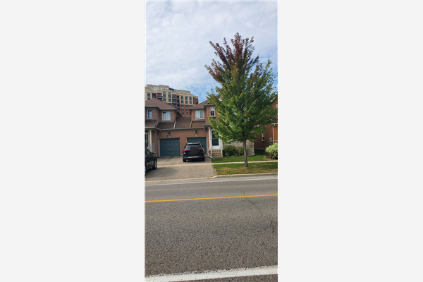 202 Red Maple Rd, Richmond Hill