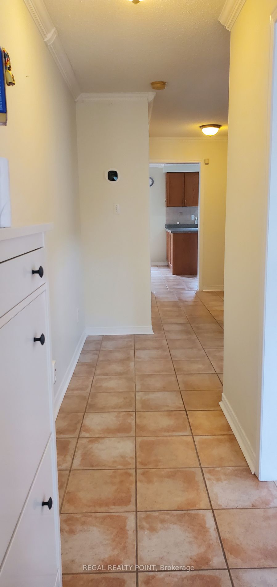 202 Red Maple Rd
