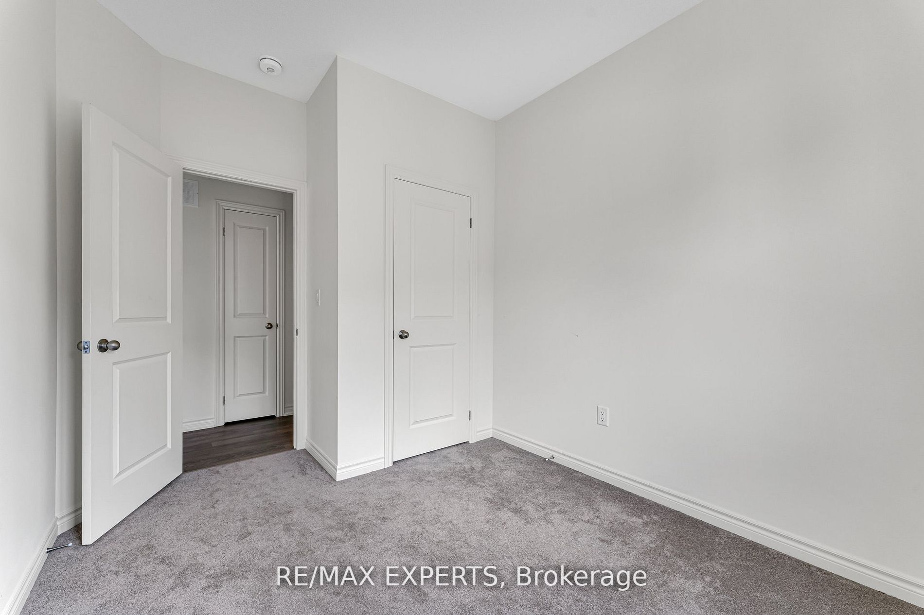 43 Elsinore St