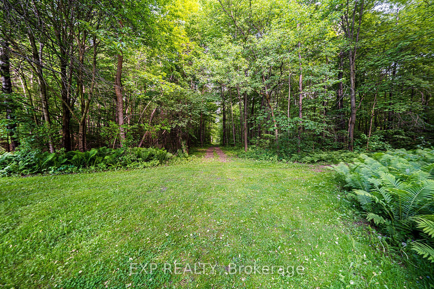 14309 Concession 1 Rd