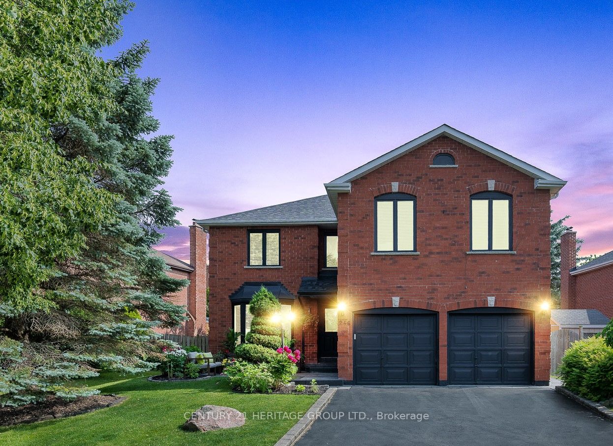 246 Jelley Ave