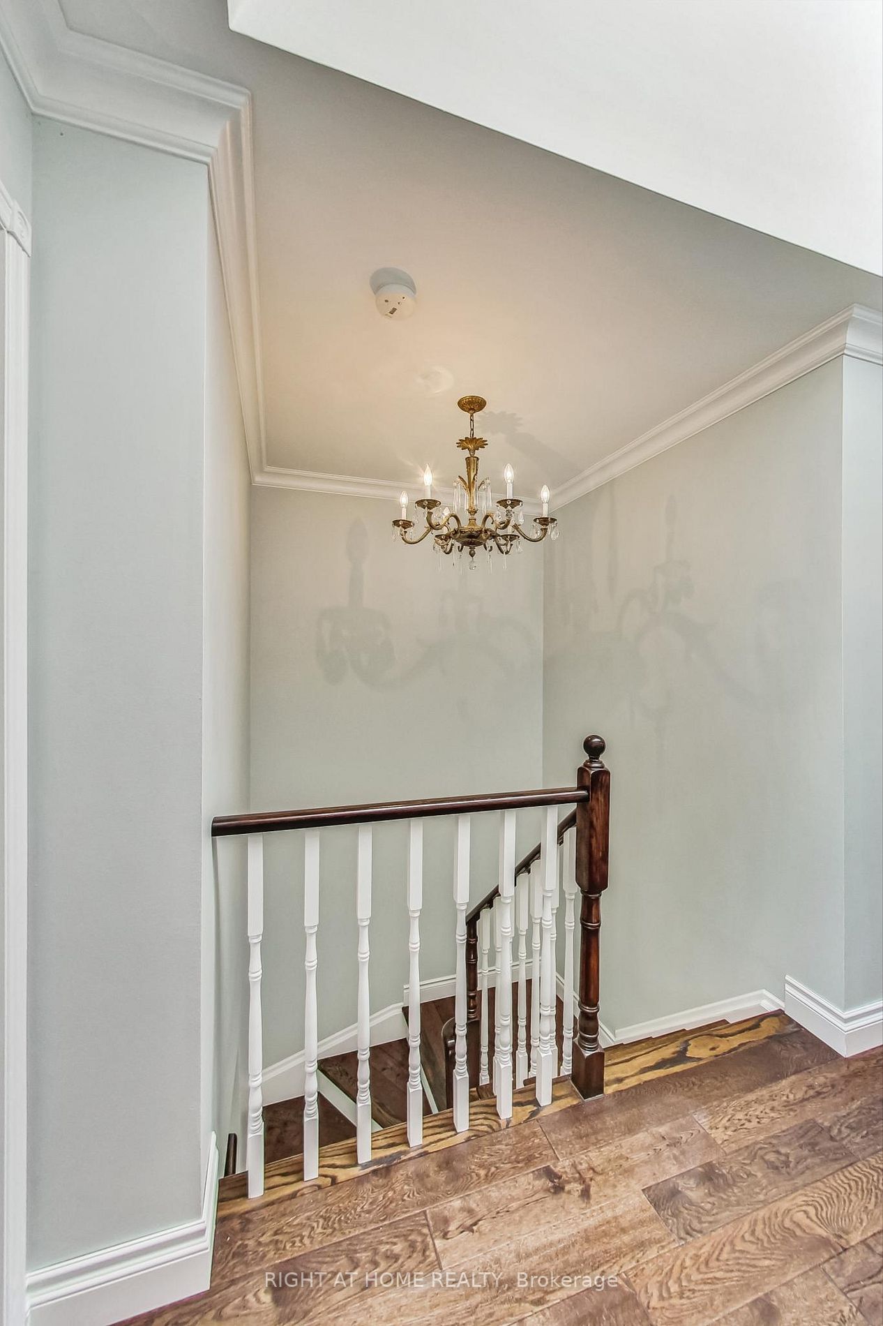 75 Sandfield Dr