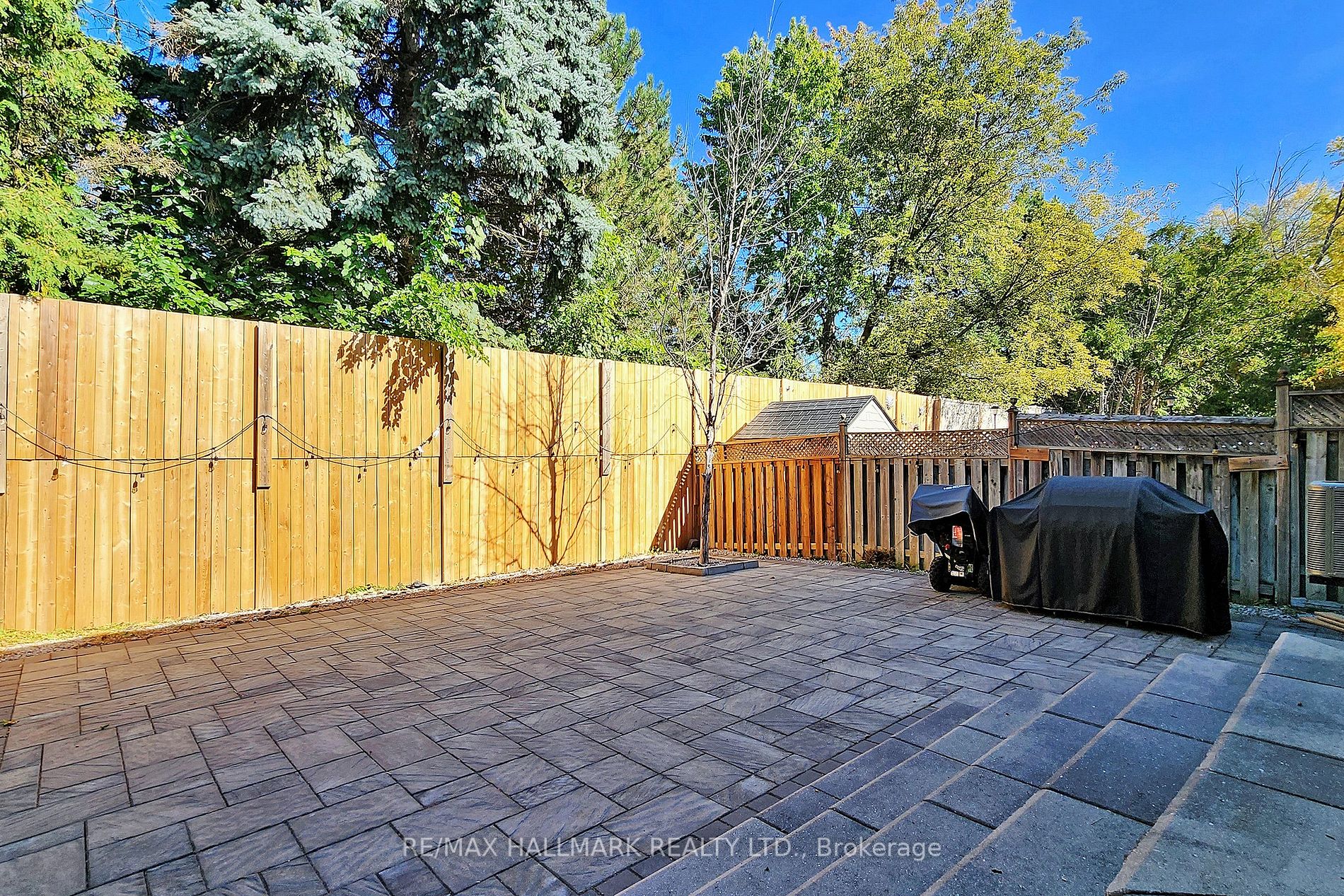56 Loredana Crt