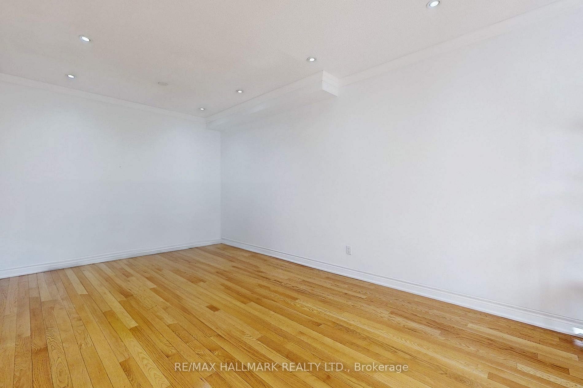 56 Loredana Crt
