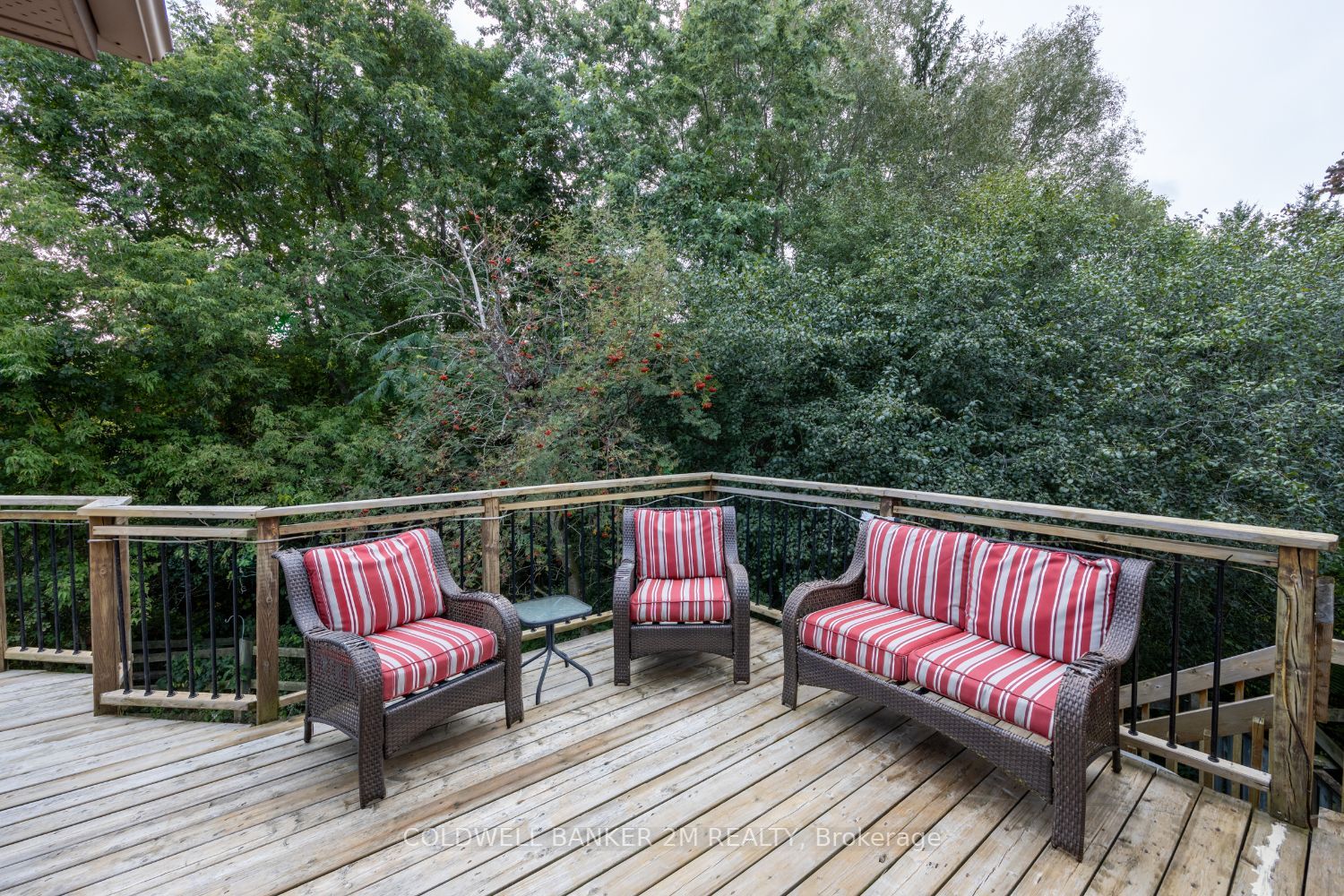 11 Turner Dr