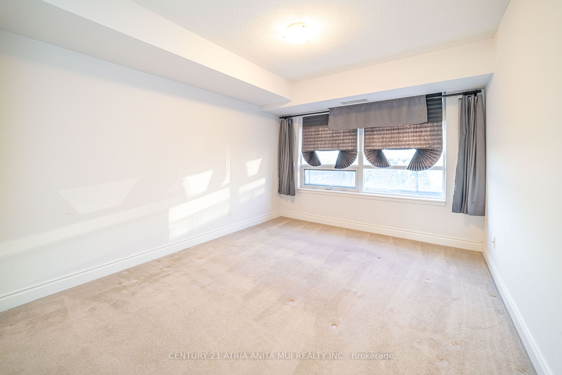 23 Cox Blvd, #882