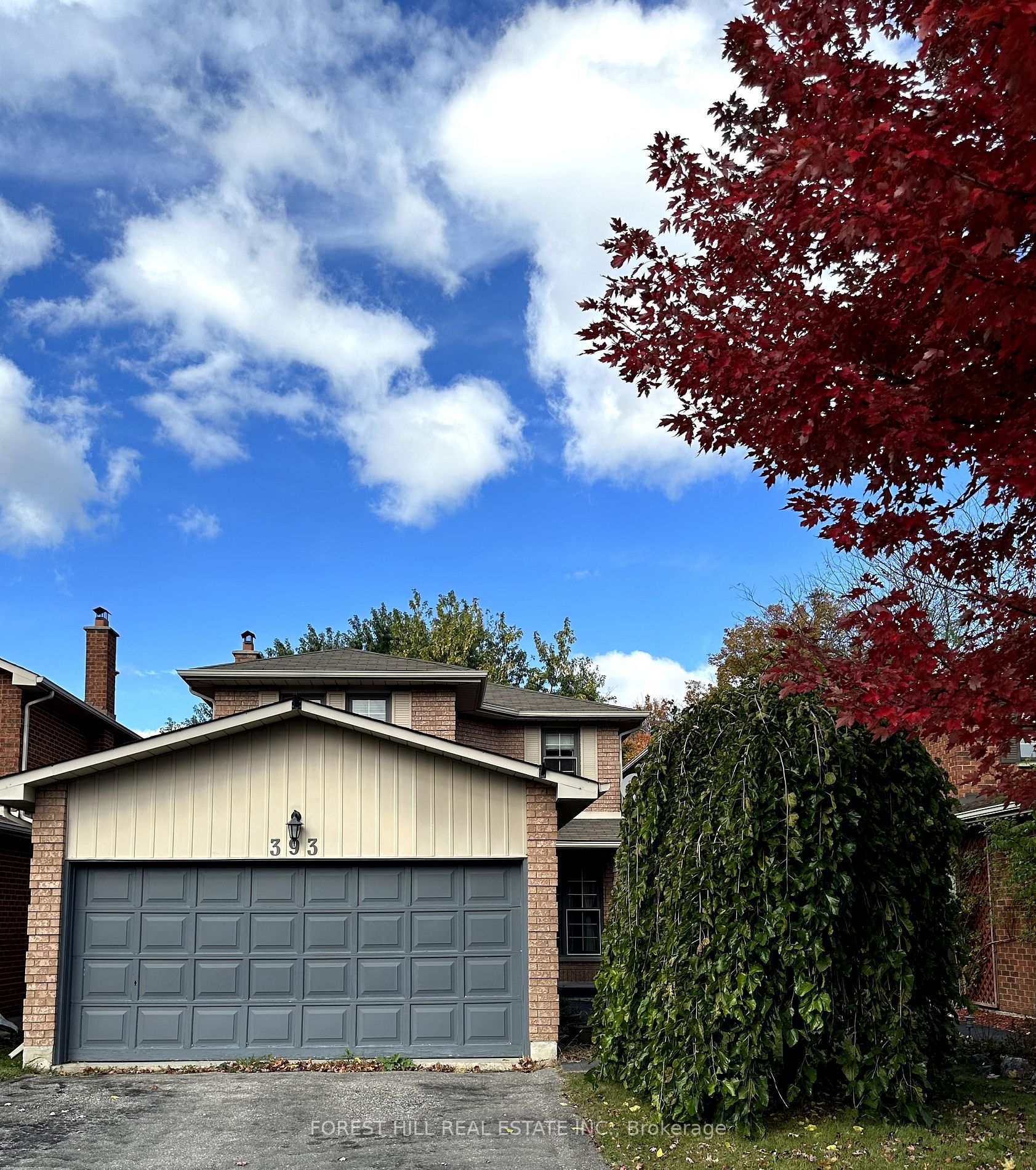393 Pickering Cres
