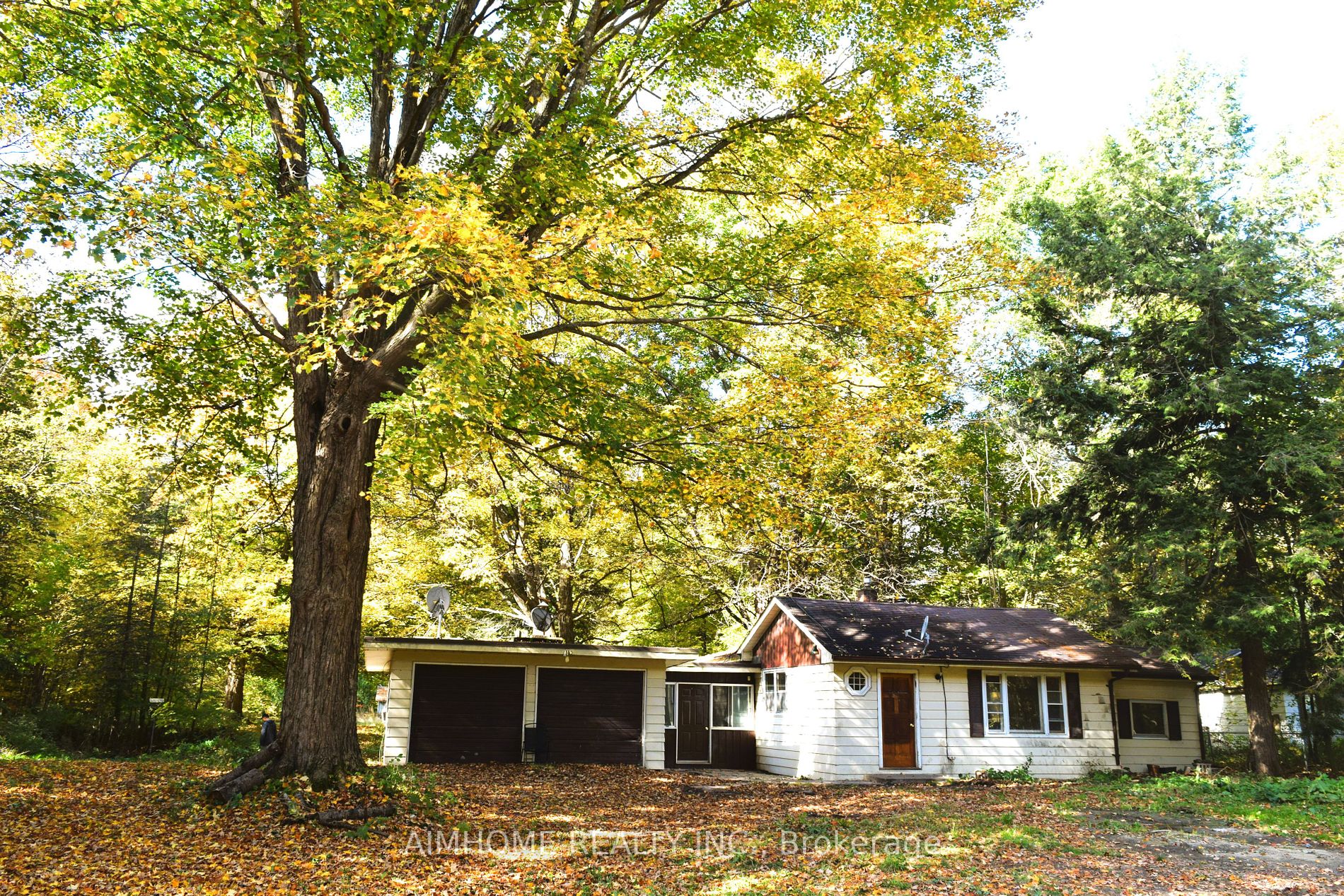15536 Mccowan Rd