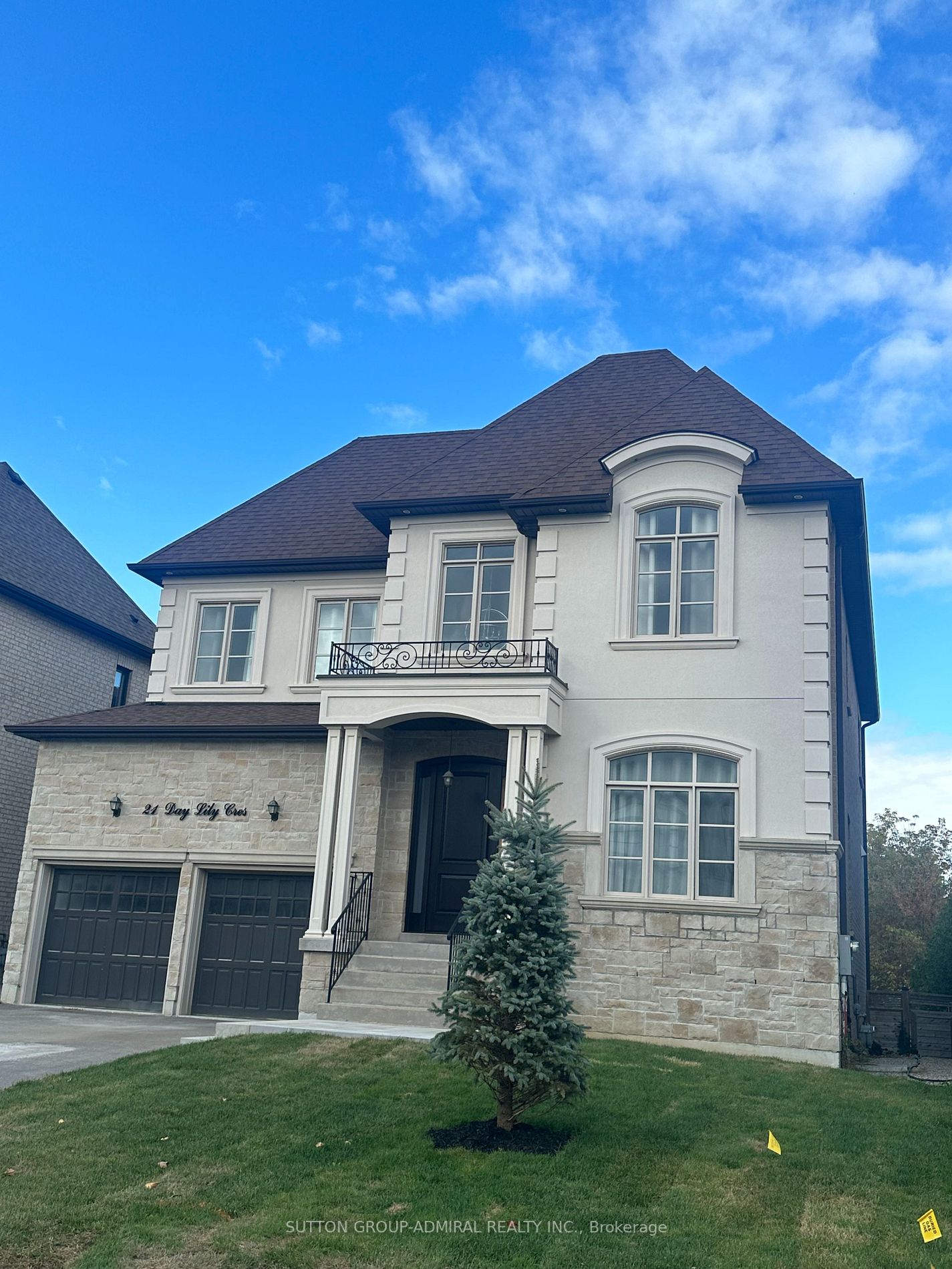 21 Day Lily Cres
