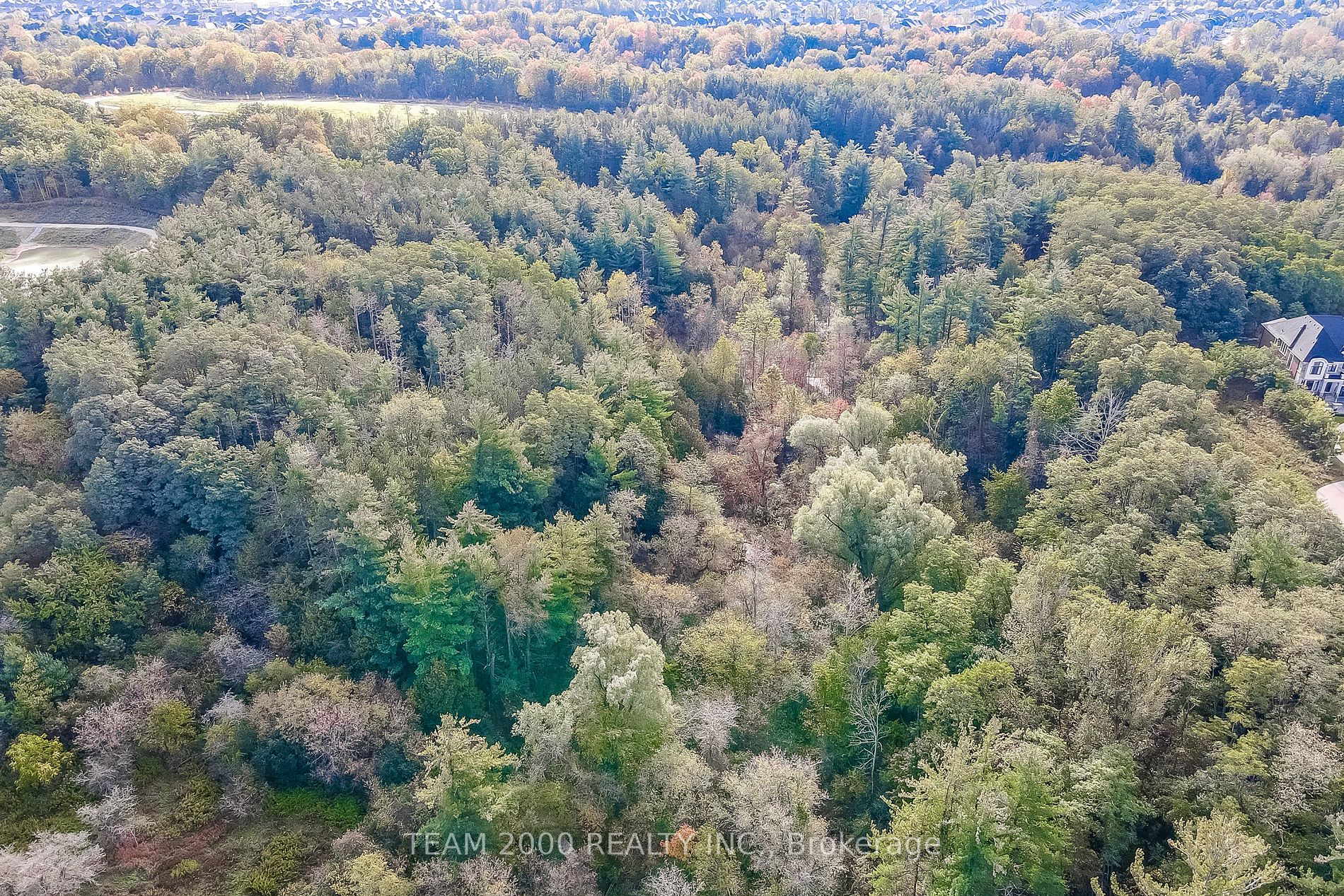 187 Purple Creek Rd