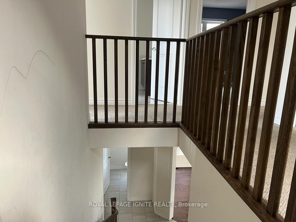 39 Jonkman Blvd