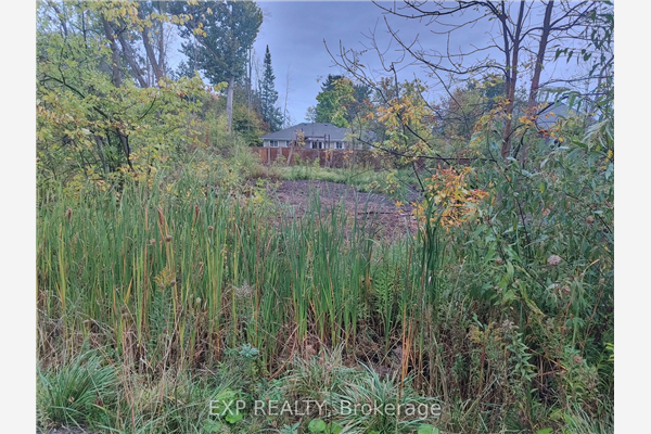 2735 Ireton St, Innisfil