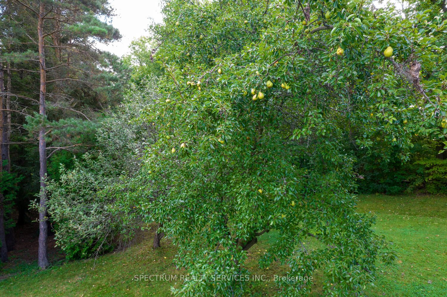45 King View Cres