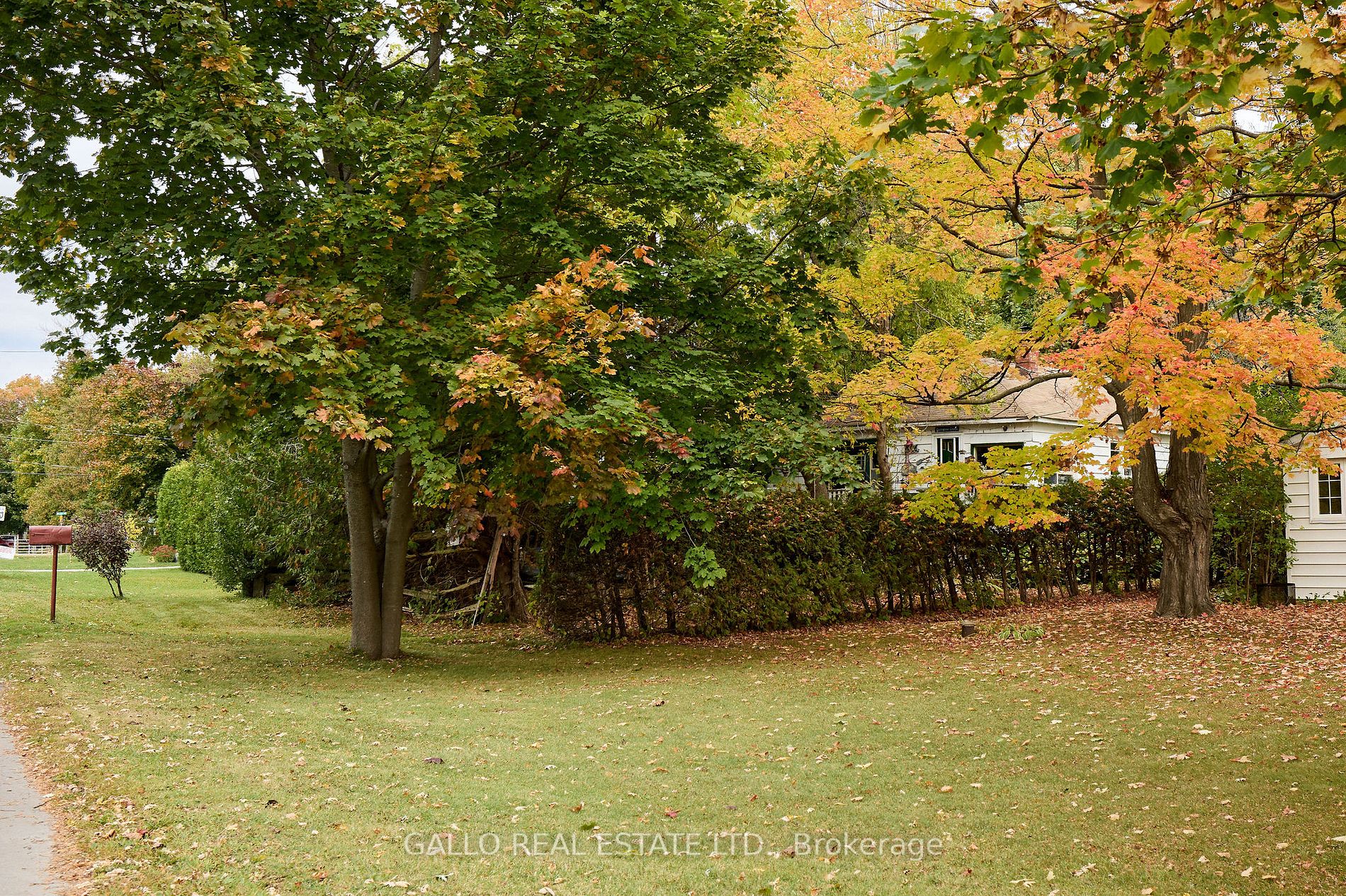 39 Blue Heron Dr