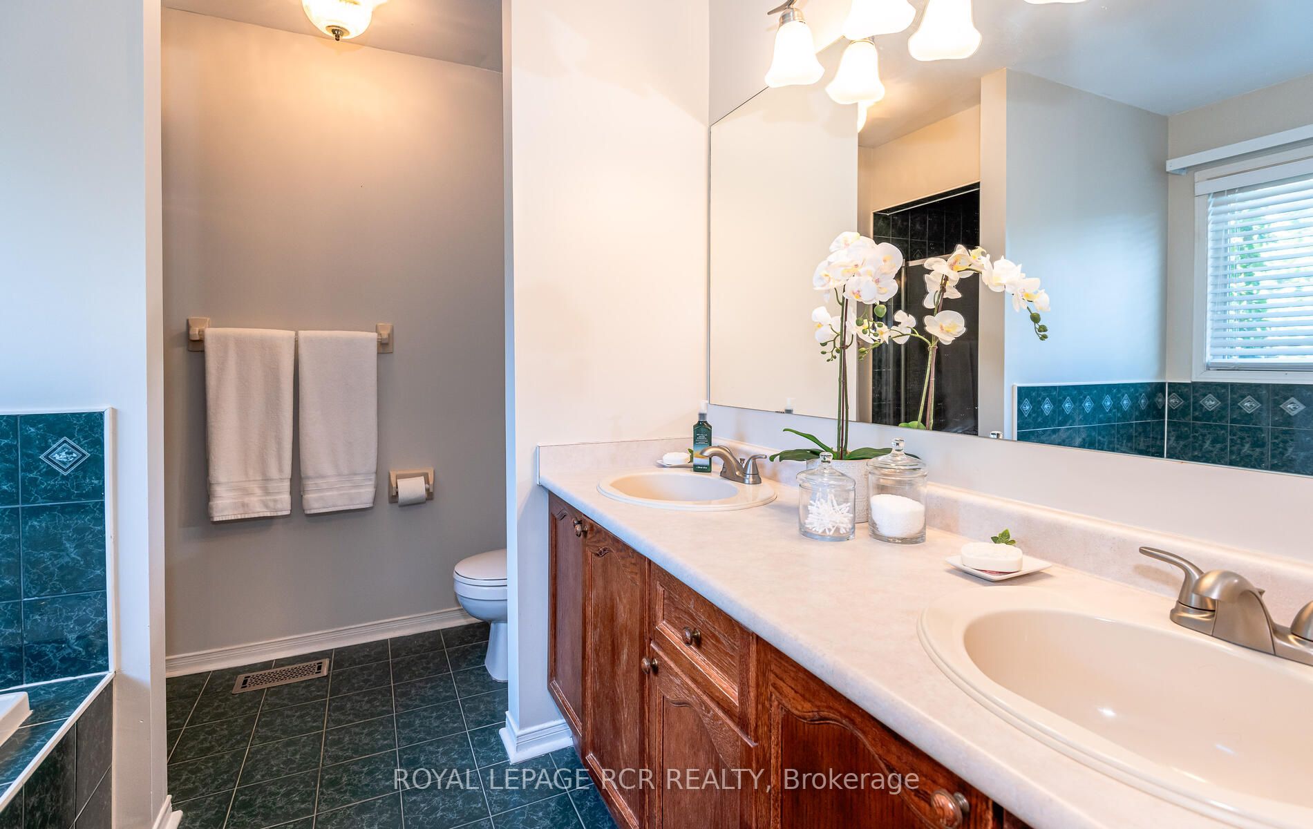 47 Buttonwood Tr