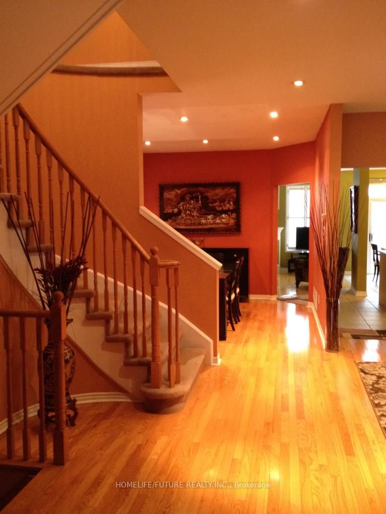 41 Black Walnut Drive