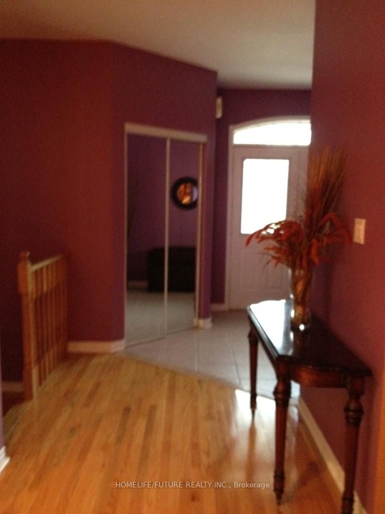 41 Black Walnut Drive