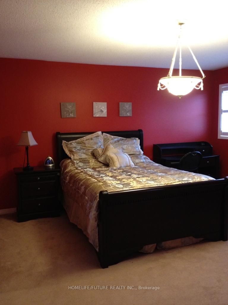 41 Black Walnut Drive