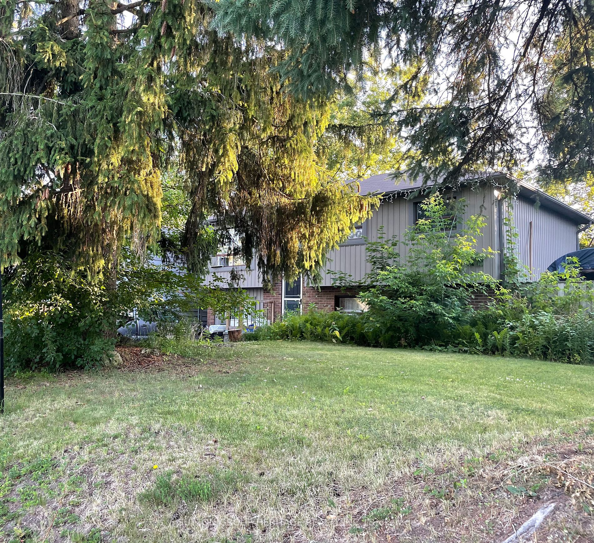 20 Rosehill Dr