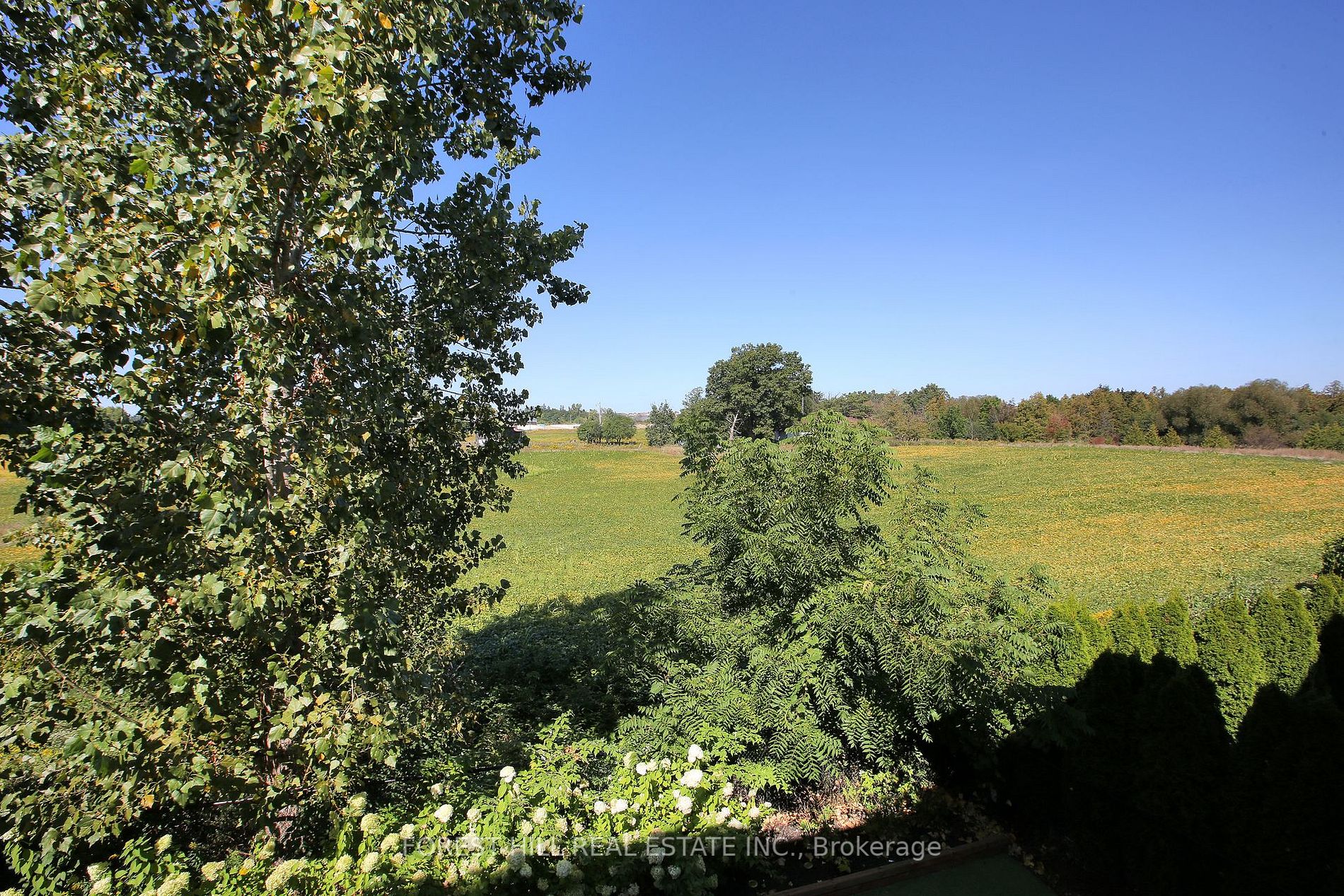 151 Wallenberg Dr